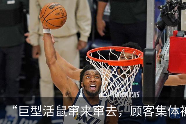 “巨型活鼠窜来窜去，顾客集体被吓到崩溃，全程反胃恶心”，寿司郎中国最新回应：全面废弃及清洗消毒相关食材、器具